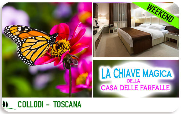 Casa delle farfalle Collodi