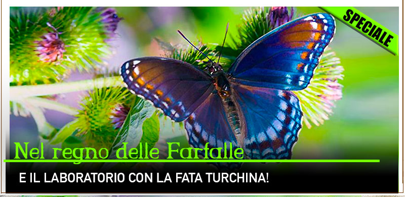 Collodi Butterfly House Casa delle Farfalle con la Fata Turchina