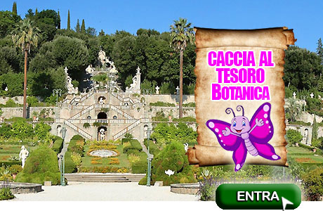 Giardino Garzoni e Collodi Butterfly House