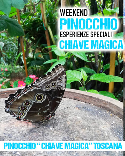 Parco di Pinocchio Casa delle Farfalle