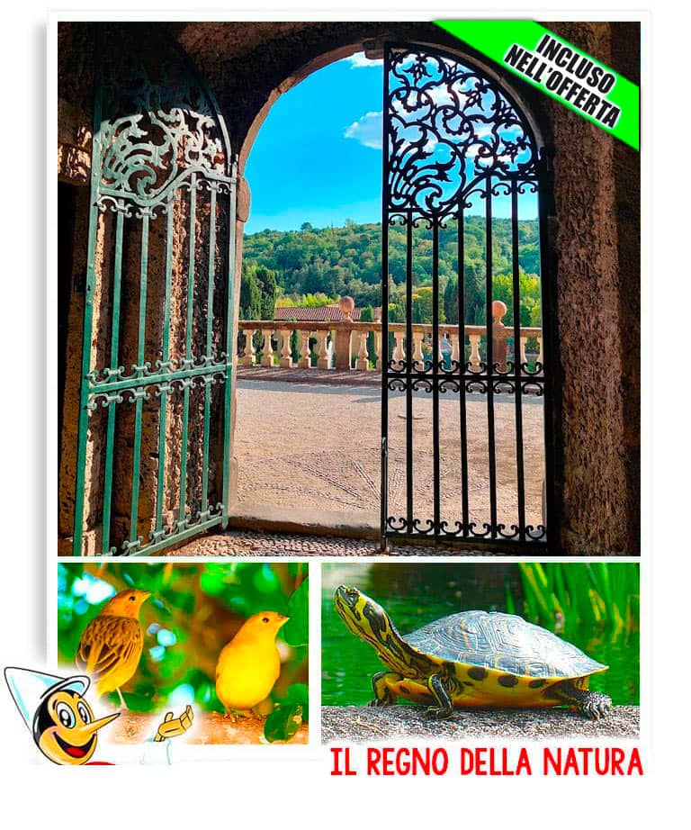 Compleanno con gli animali